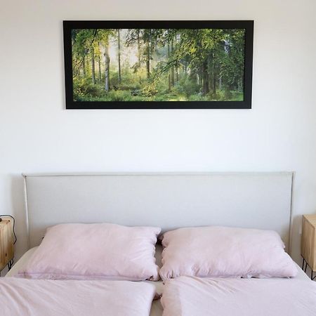 Apartmán na Kamenci Teplice nad Metují Esterno foto